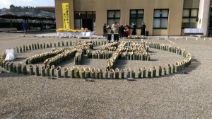 10526161_1597999590429748_427823490962284505_n