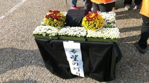 10612682_1597999577096416_4782680555388690254_n