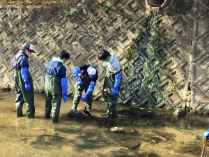 11231152_1705301766366196_4379974974059814867_n